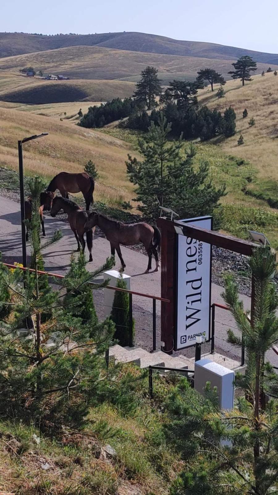 Wild Nest Zlatibor Bear Villa Dış mekan fotoğraf