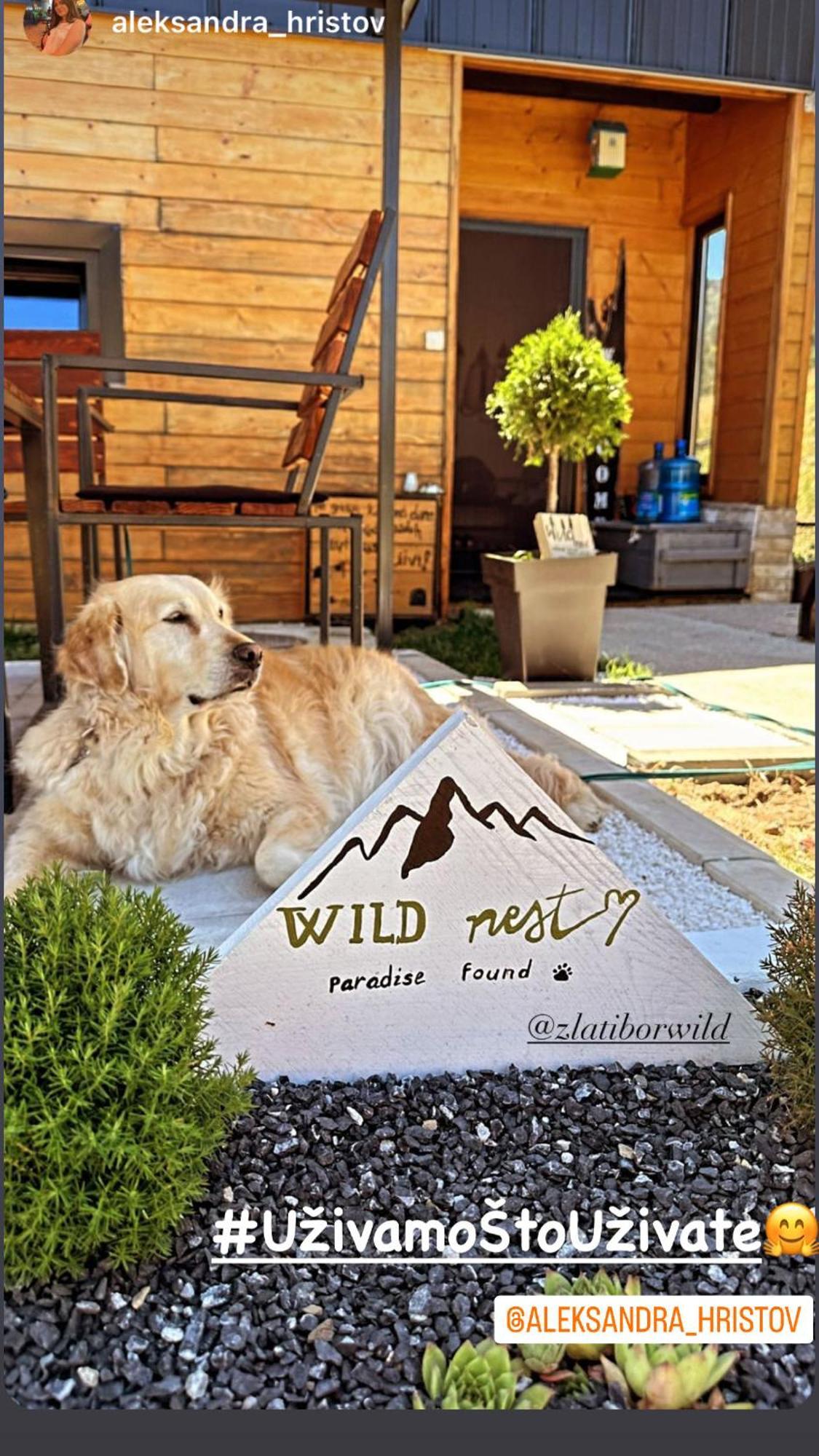 Wild Nest Zlatibor Bear Villa Dış mekan fotoğraf